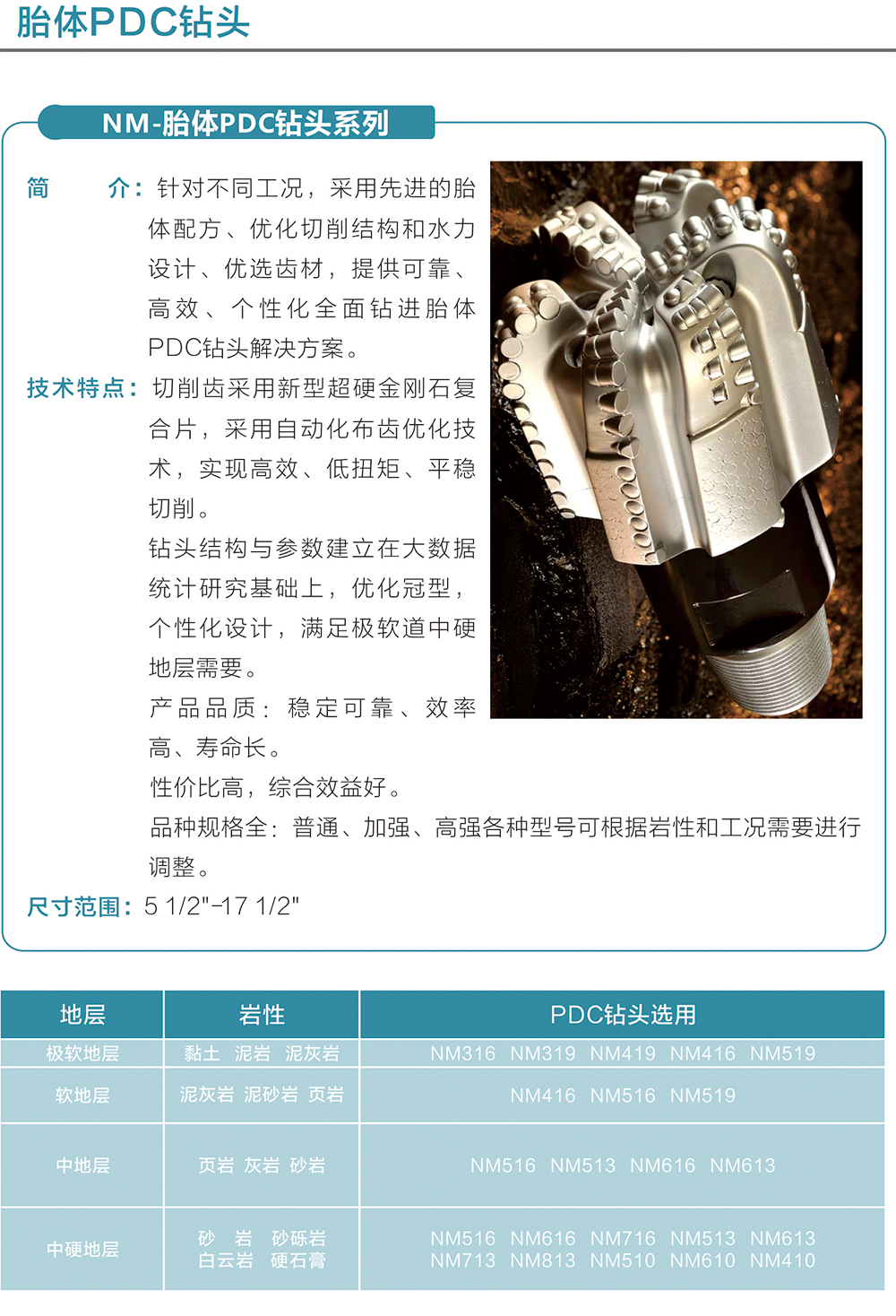 PDC钻头(图2)